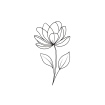 Bloom Therapeutic Wellness LLC